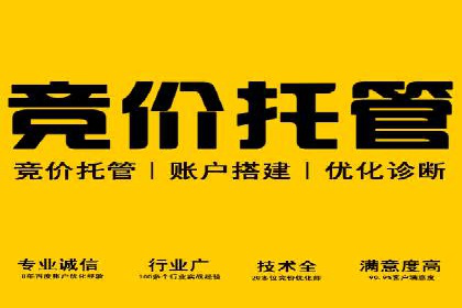 百度推广全解析：某公司如何通过推广获得高流量